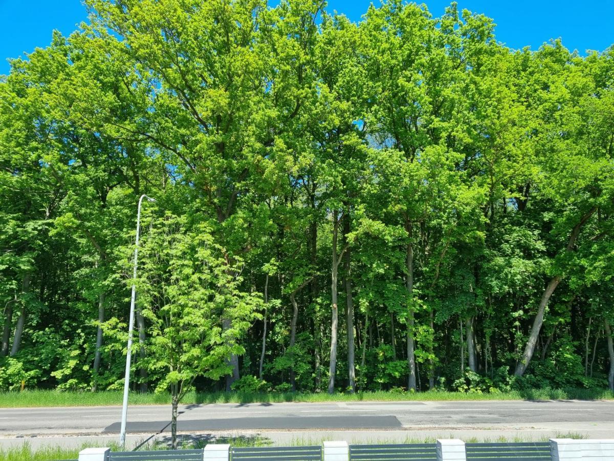 M&K Apartament Baltyk - Sobieszewo - Wyspa Sobieszewska 그단스크 외부 사진